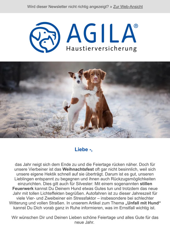 ➔ Dein Hund hat Angst vor Silvester? Wir zeigen Dir eine Alternative