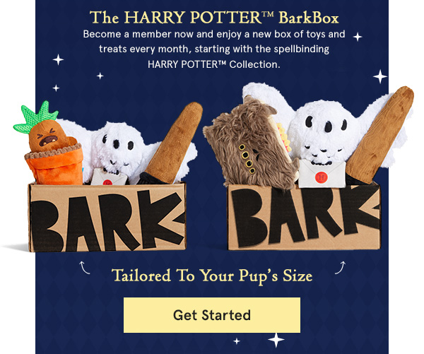 Your dog's is invited to The HARRY POTTER™ BarkBox Milled