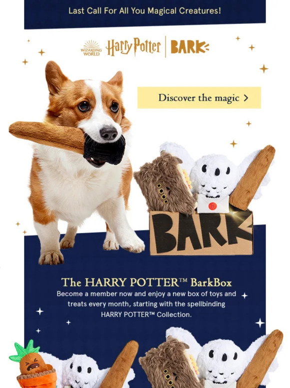 BarkBox: Your dog's is invited to The HARRY POTTER™ BarkBox | Milled