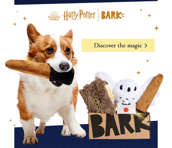 Your dog's is invited to The HARRY POTTER™ BarkBox Milled