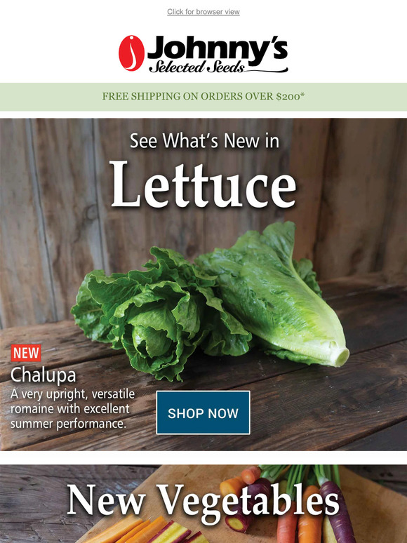 New Lettuce for 2024 Milled
