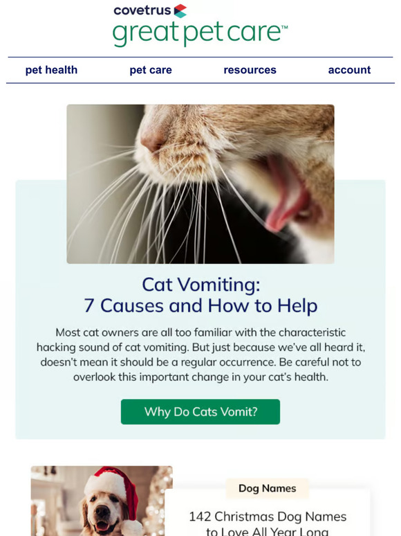 Great Pet Care Cat Vomiting 7 Causes and How to Help Milled