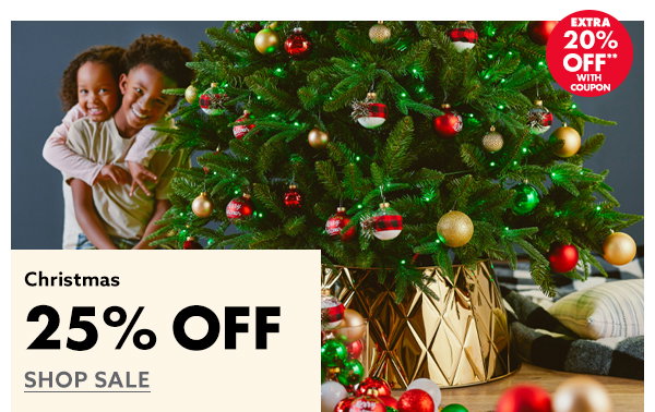 Christmas 25% Off
