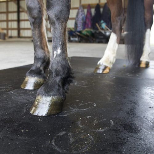 Horse Stall Mats Kit Cobblestone 3/4 Inch x 10x10 Ft.