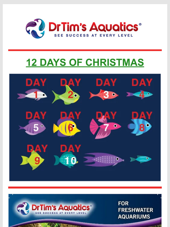 12 Days of Christmas - Day 10