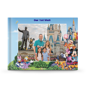 Disney Parks Book