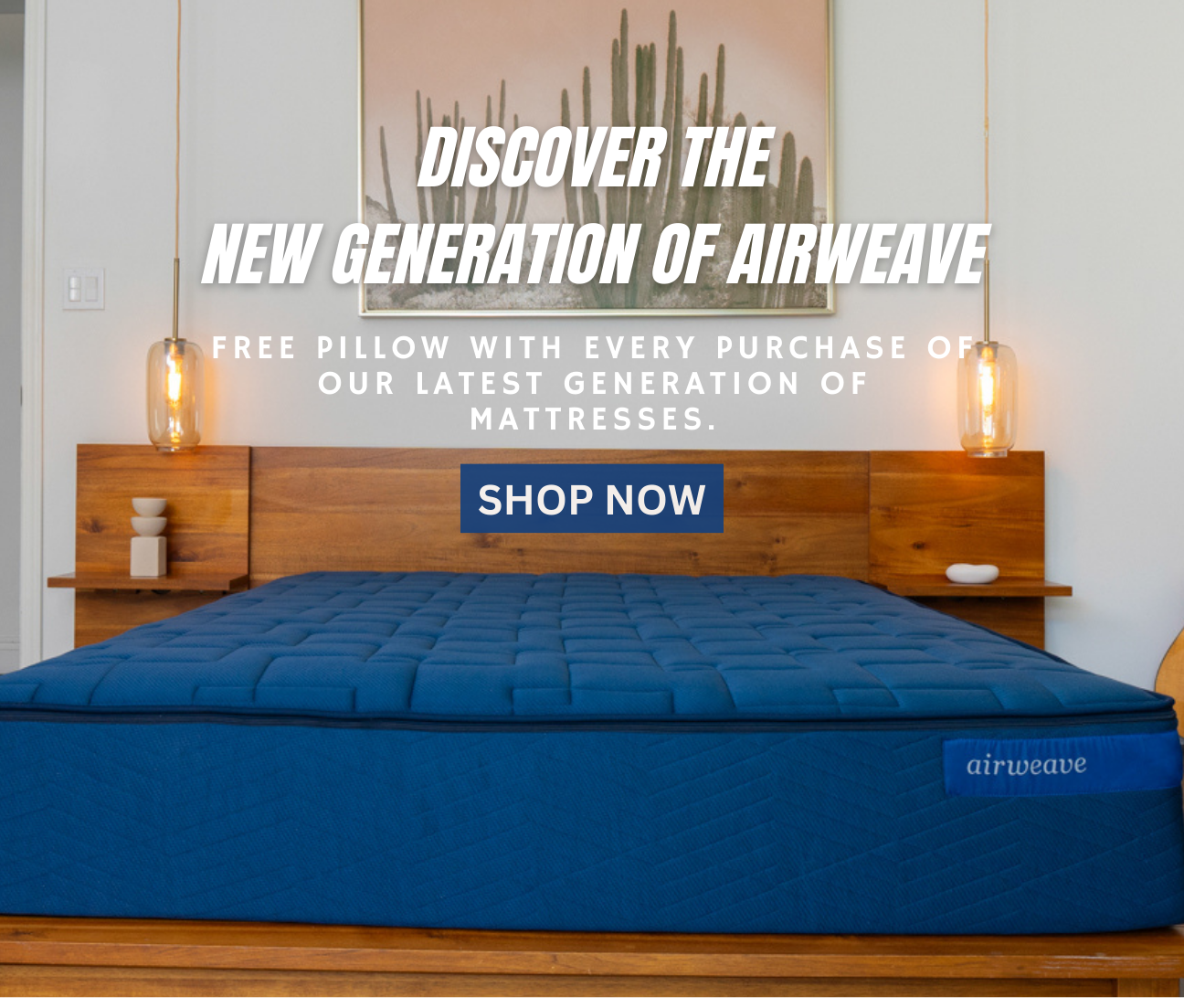 airweave S-Line Pillow  Premium Oversized Adjustable Pillow