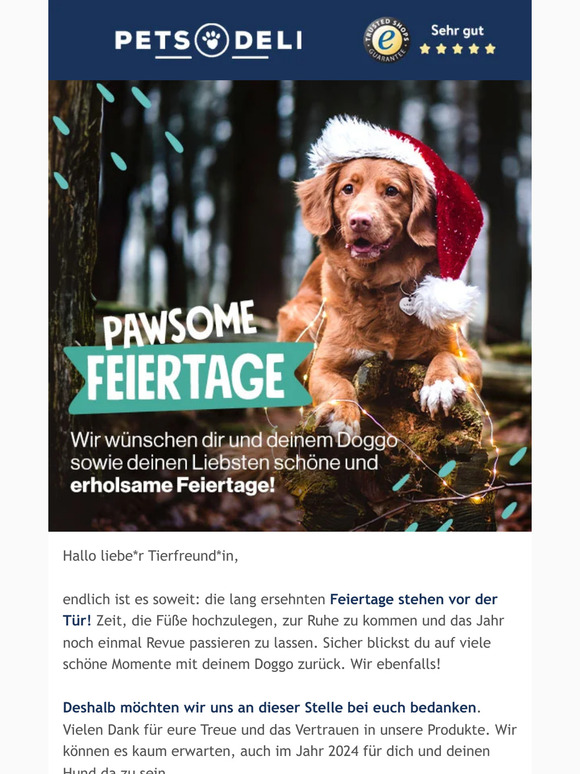 Liebe*r Tierfreund*in, frohe Feiertage an dich & deinen Doggo!
