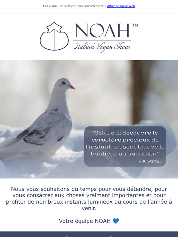 Nous vous souhaitons de bonnes fêtes de fin d'année 💙