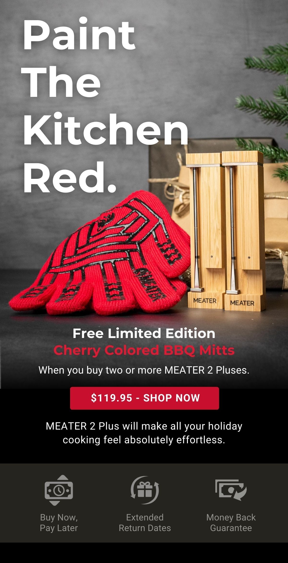 Meater Two MEATER 2 Pluses Are Better Than One! Milled