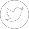 • Twitter