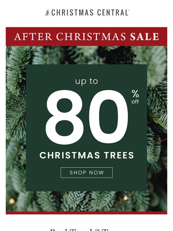 Our Annual After Christmas Sale Starts Now