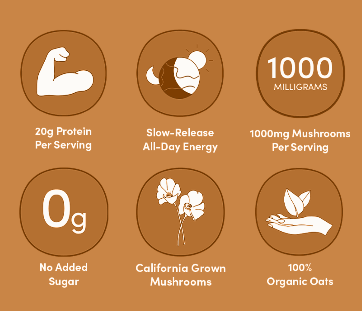 20g of Protein Per Serving | Slow-Release All-Day Energy | 1000mg Mushrooms Per Serving | No Added Sugar | California Grown Mushrooms | 100% Organic Oats