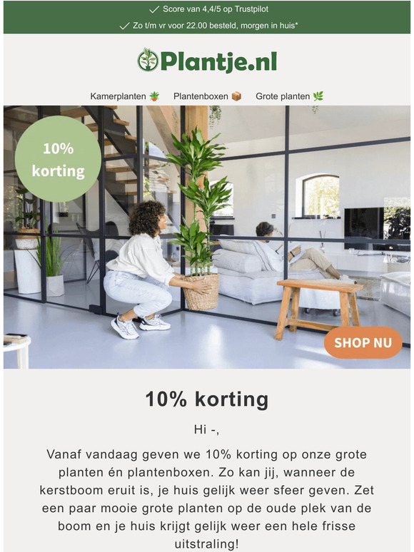 Nu 10% korting op grote planten en plantenboxen