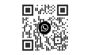 Whatsapp Galeries Lafayette
