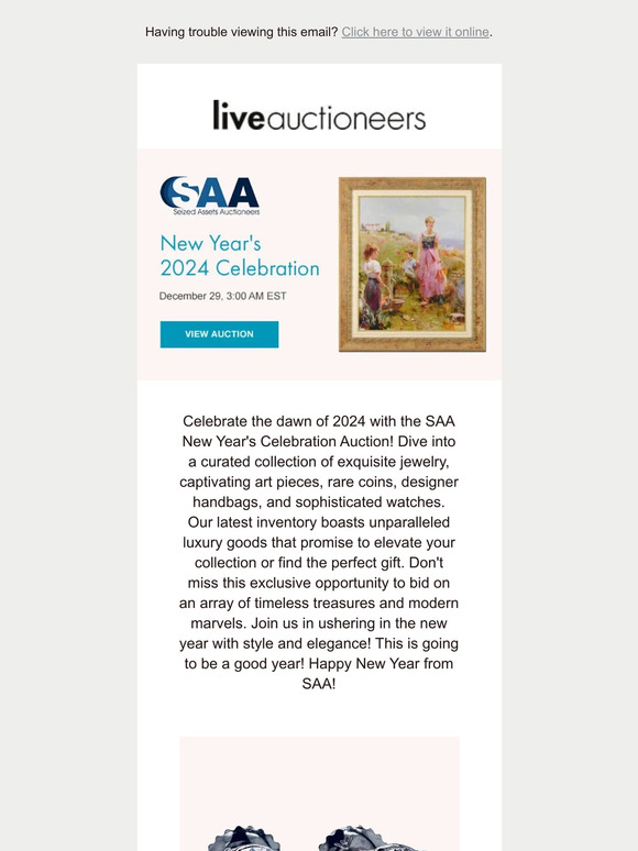 LiveAuctioneers Seized Assets Auctioneers New Year S 2024   C@2x 