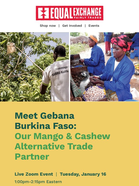 Meet our Mango & Cashew Trade Partner 🥭