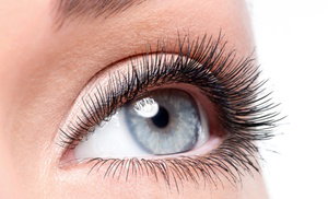 Eyelash and Eyebrow Services