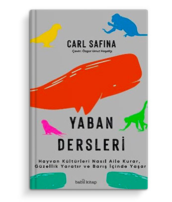 Enstitü Bize Ne Söyler?