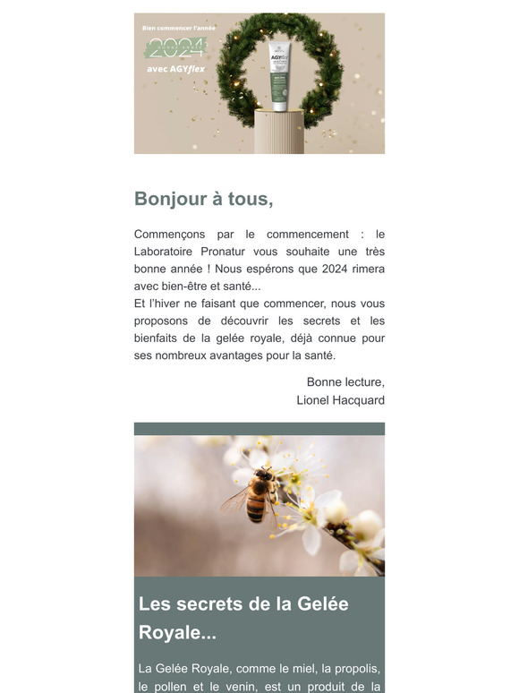 Les secrets de la gelée royale 🍯