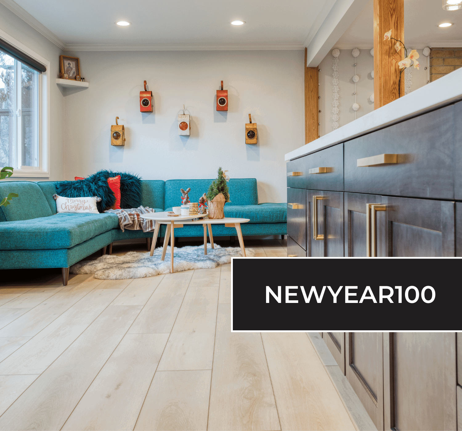 Use code NEWYEAR100 for $100 Off Shipping