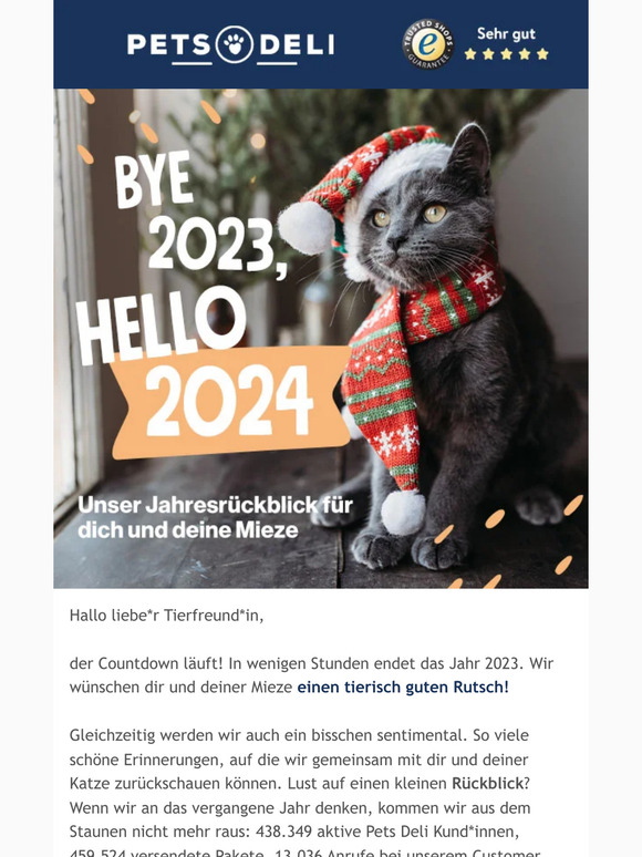 Bye Bye 2023 👋