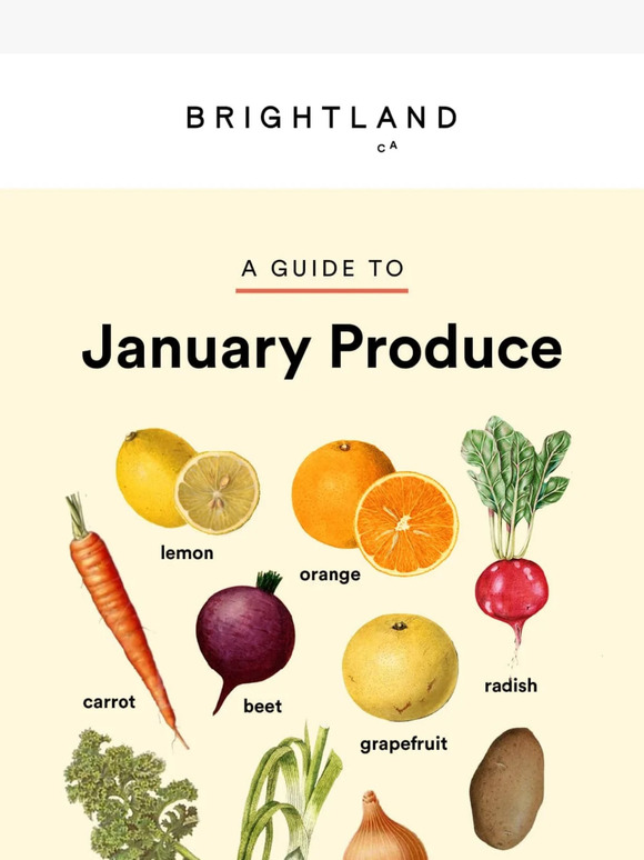 Brightland January Produce Guide 🥕 Milled