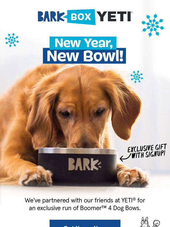 BarkBox Deal: FREE Yeti Dog Bowl With First Box of Toys and Treats