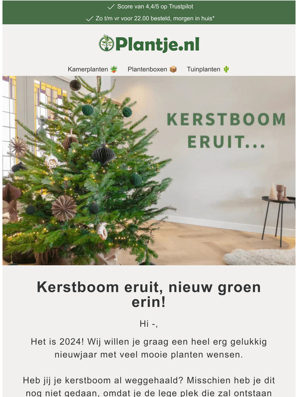 Kerstboom eruit🎄, nieuw groen erin! 🪴
