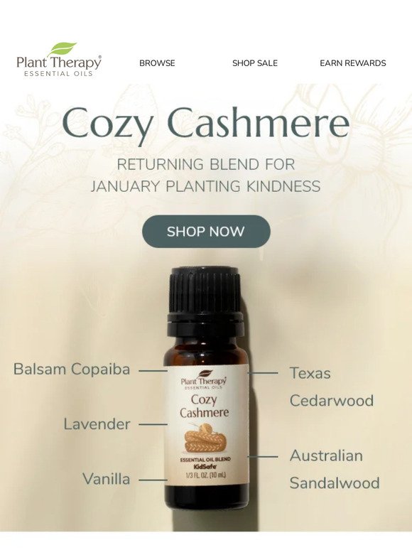 Plant Therapy: 💖 Cozy Cashmere Essential Oil Blend is BACK