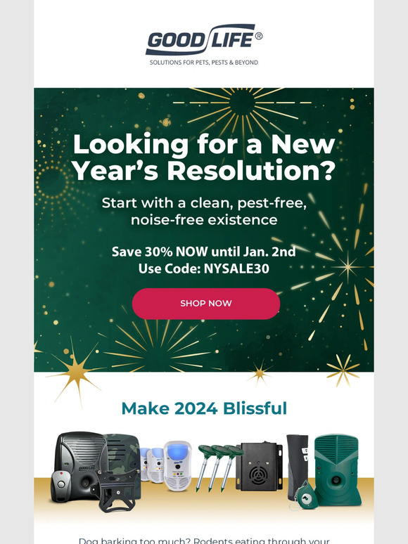 Hello 2024! 🎆