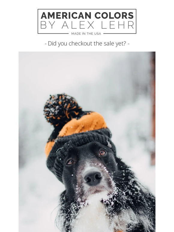 Happy New Year! Get 50% off!