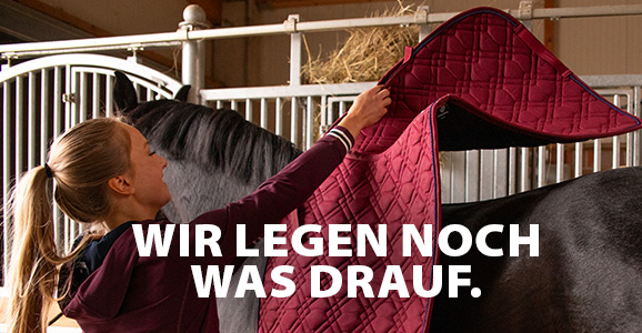 Schabracken-Sale