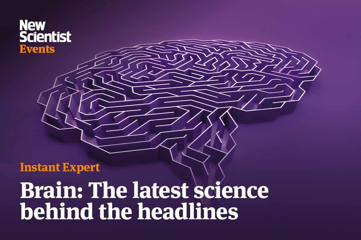 Brain: The latest science behind the headlines. Image links to event.