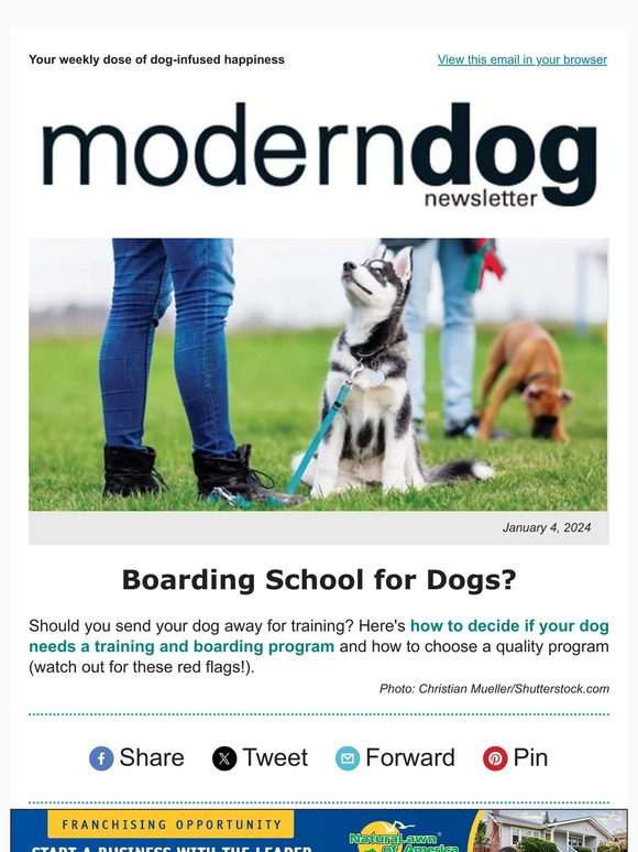 Modern Dog & Modern Cat Boarding School for Dogs? Milled