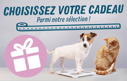 Choisissez votre cadeau