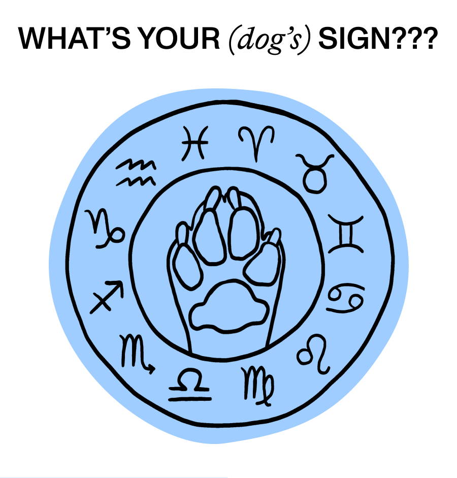 What's Your (dog's) Sign?