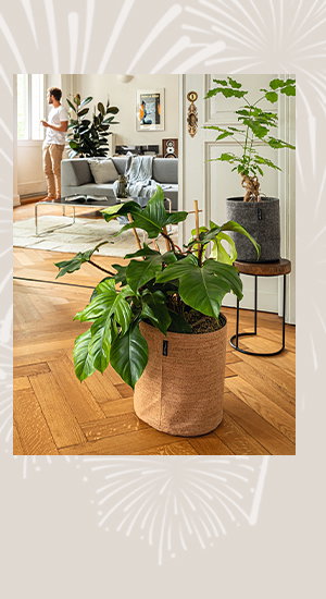 05.01. - 15.01.24 / FLASH SALE - 25% off select items