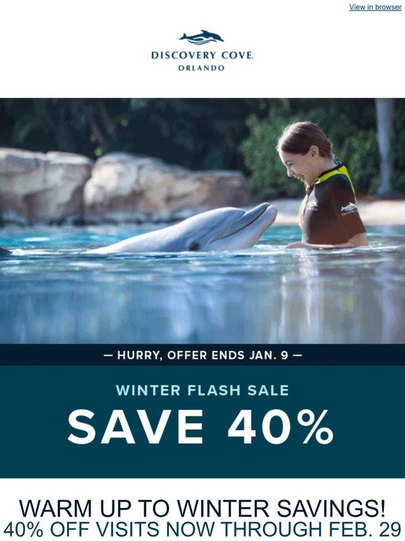 🤩 NEW: Save 40% Now During Our Winter Flash Sale!