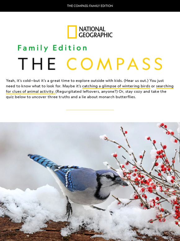 Winter birding with kids, chilly weather experiments, and a butterfly quiz