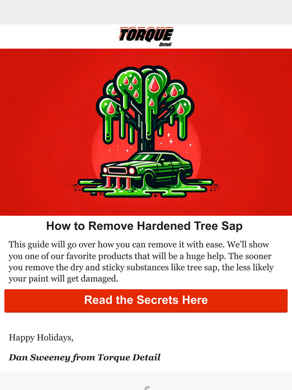 Torque Detail How to Remove Hardened Tree Sap From Your Car Milled