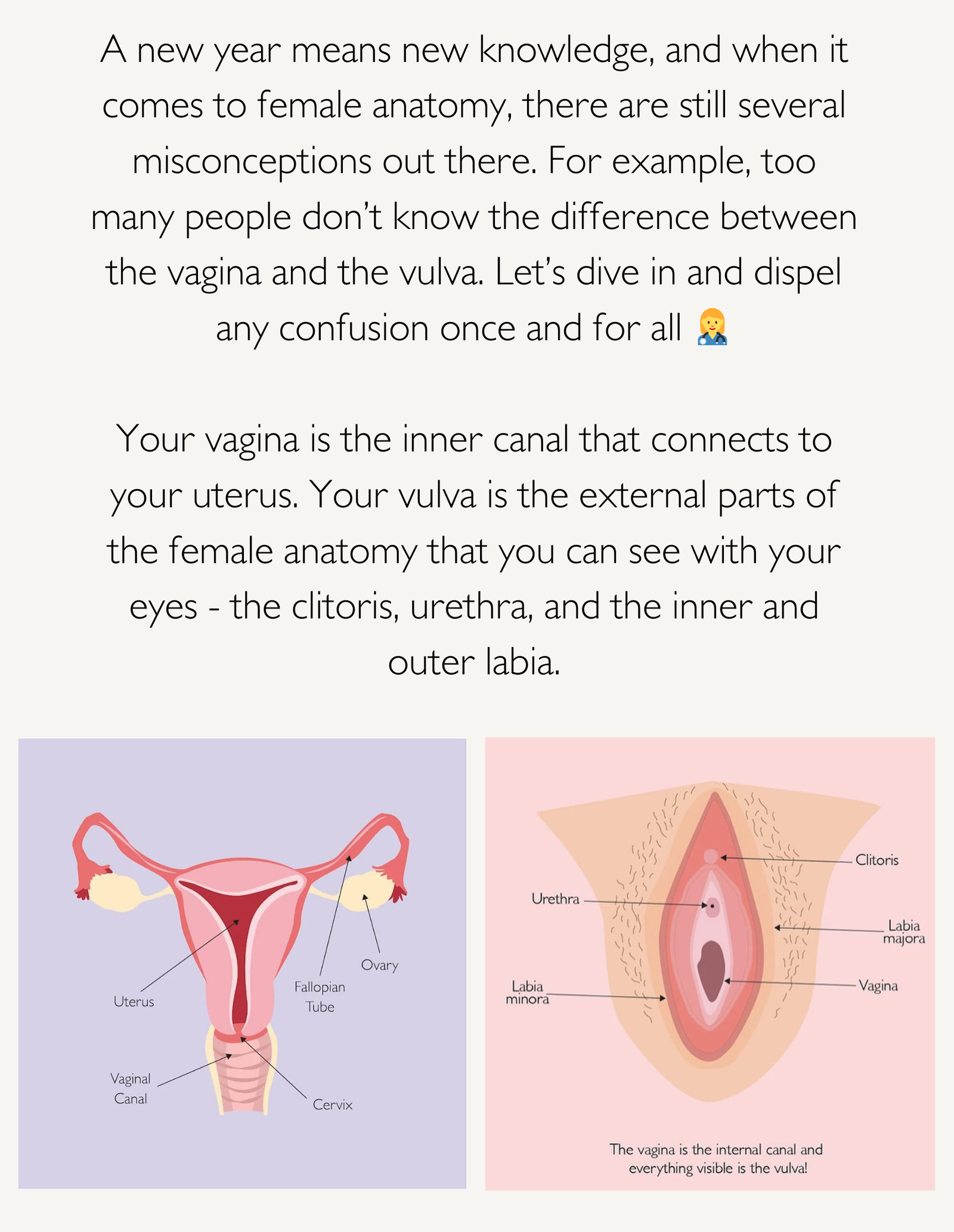 Vulva-vs-vagina-Images