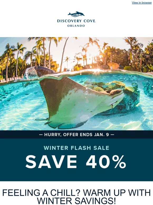 Flash Sale: Don't Miss 40% Savings on Paradise!