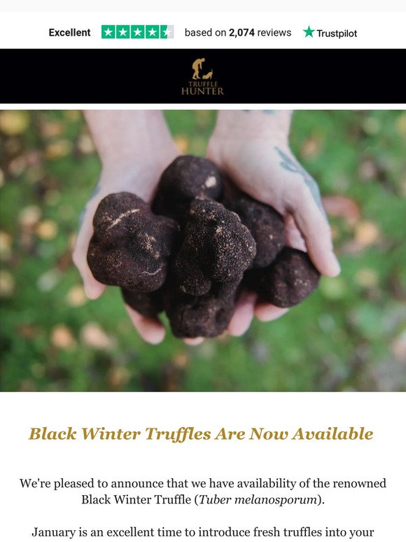 Fresh Black Winter Truffles for the New Year