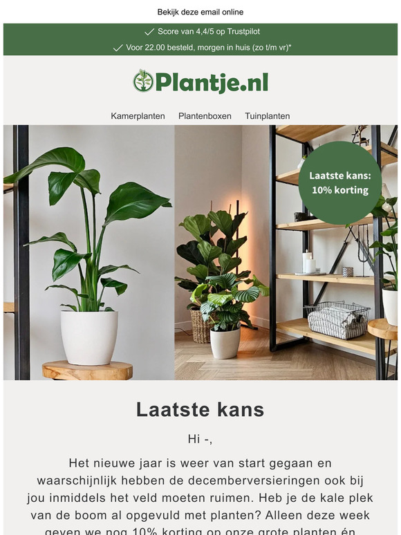 Laatste kans: 10% korting 🪴