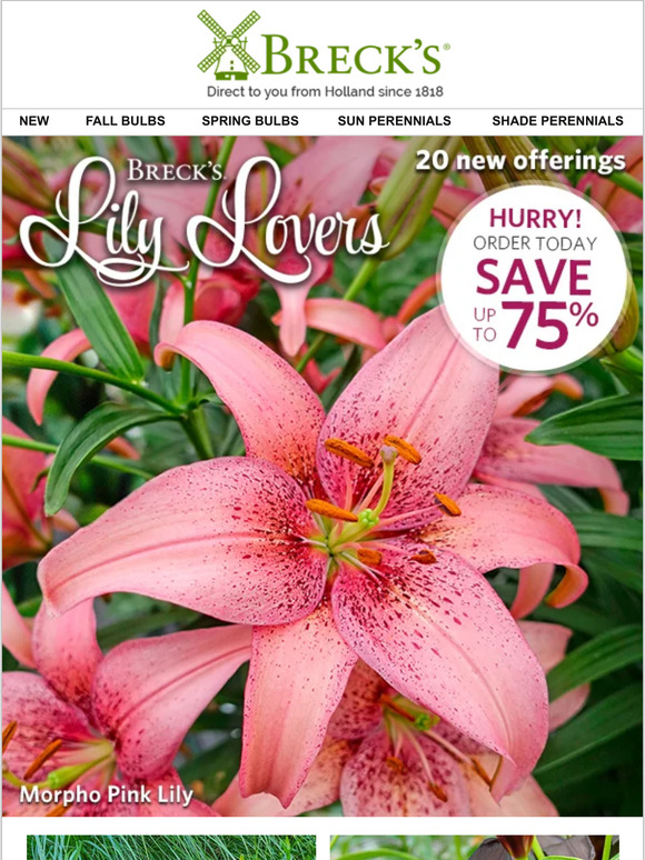 Breck's The Breck’s Lily Lovers event has dropped! Milled