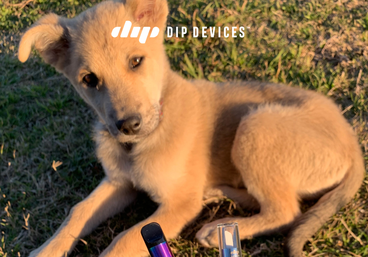 | DIP DEVICES |