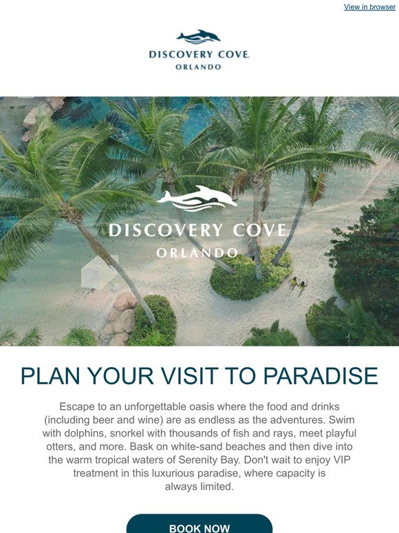 🌴 Now's the Time to Plan Your Visit to Paradise