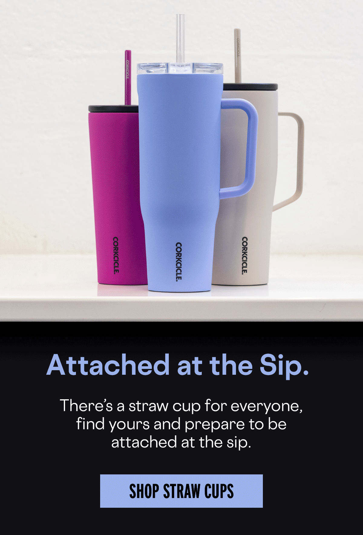CORKCICLE Sip At Your Own Speed Milled