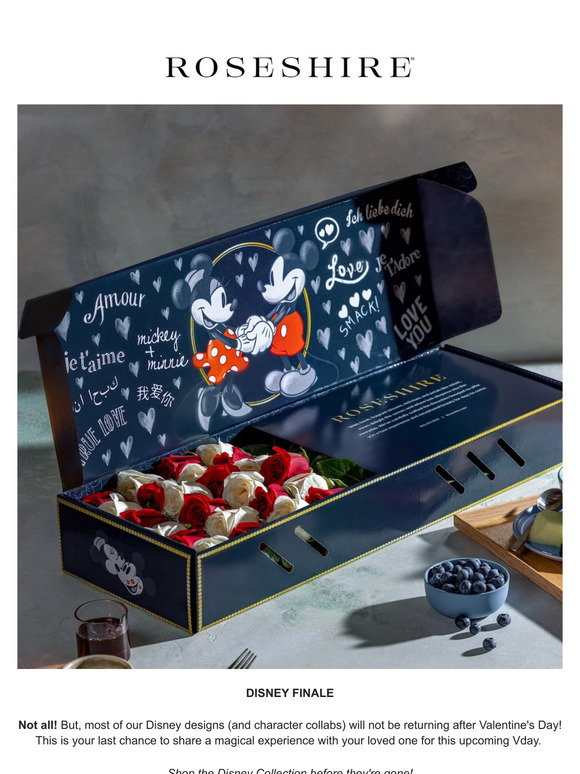 Roseshire: The Last of Disney Designs! 🌹 | Milled
